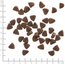 Wolfsblut Wide Plain Kistestű 2 kg