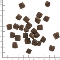 Wolfsblut Black Bird Senior 2 kg