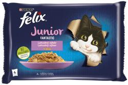FELIX Junior Fantastic zacskós eledel, ízletes válogatás kocsonyában 48 x 85 g