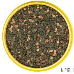 JBL PRONOVO Malawi Grano M 250 ml / 125 g