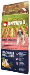 ONTARIO Puppy & Junior Large - chicken & potatoes 2 x 12 kg