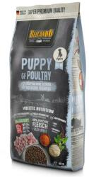BELCANDO Puppy GF Poultry 2 x 12, 5 kg