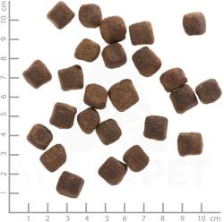 Wolfsblut Dark Forest 2 kg