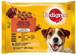 PEDIGREE Vegyes válogatás zselében 12 x (4 x 100 g)