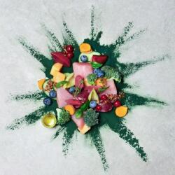 Terra Canis Naturhund Turkey & Duck 400 g