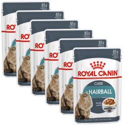Royal Canin Hairball Care Gravy szószos tasak macskáknak 36 x 85 g