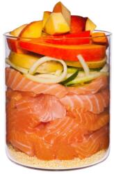 Terra Canis Salmon with millet, peach & herbs 800 g