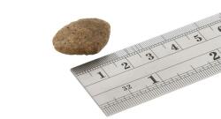 Fish4Dogs FINEST Sardine 6 kg