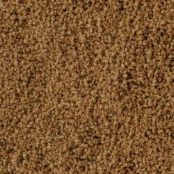 SERA Discus color Nature táplálék 250 ml