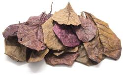  Égertoboz - szárított levelek 16 x 10 cm, 25 db