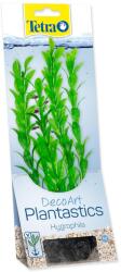 TETRA Növényi Hygrophila M 23 cm
