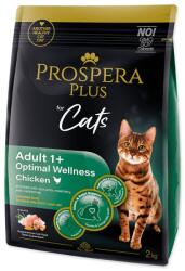 Prospera Plus Cat Adult 1+ Optimal Wellness Chicken 2 kg