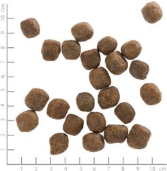 Wolfsblut Cold River 2 kg