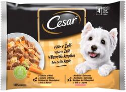 Cesar zacskós eledel válogatás kocsonyában 6 x (4 x 100 g)