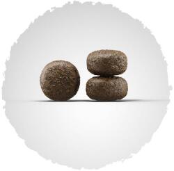 Josera Light & Vital Adult 2 x 12, 5 kg