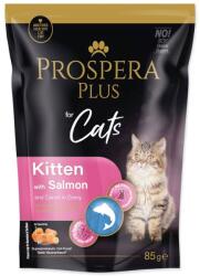 Prospera Plus Kitten Salmon & Carrot 6 x 85 g