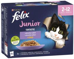 FELIX Fantastic Junior finom válogatás 72 x 85 g