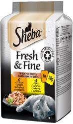 Sheba Fresh & Fine csirkéből és pulykából 3 x (6 x 50 g)
