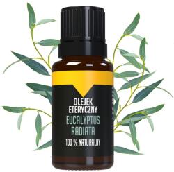 Bilovit Eucalyptus Radiata Ulei esențial - 10 ml
