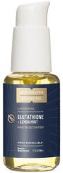 Quicksilver Glutation lipozomal, Lemon-Mint EU - 50 ml