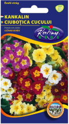 Rédei Kertimag vetőmag - Kerti kankalin színkeverék 0, 2g