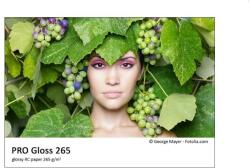 Fomei PRO Gloss 265 13 x 18/250 (EY4204)