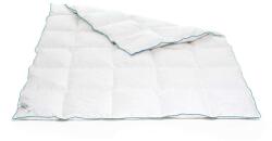 Green Future Nanofiber Paplan - 220x200 cm