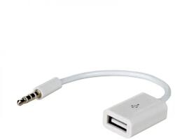 Akyga AK-AD-24 USB-A anya - MiniJack apa adapter 15cm fehér (AK-AD-24) (AK-AD-24)