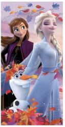 Jerry Fabrics Disney Jégvarázs törölköző Nature 70x140 cm (JAJFK038628)