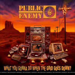 Public Enemy - What You Gonna Do When The Grid Goes Down? (CD) (602435150512)