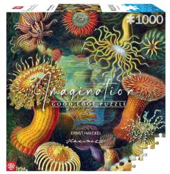 Good Loot Ernst Haeckel Tengeri lények 1000 darabos puzzle (5908305244943) (5908305244943)