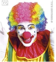 Widmann Italia Accesoriu carnaval - Peruca clown Multicolora (WID6022M)