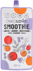 OWOLOVO smoothie alma-kékáfonya-őszibarack 250 ml