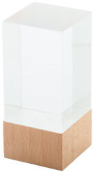  Polofi trófea (AP808550)