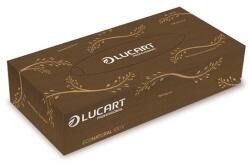 Lucart Kozmetikai kendő, 2 rétegű, 100 db, LUCART EcoNatural , barna (841073)