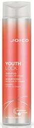 Joico Youthlock sampon kollagénnel érett hajra, Joico, 300 ml (074469523981)