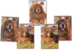 Herlitz füzet készlet, A4, 80 lap, 70 g/m2, négyzetrácsos, lekerekített sarkokkal, Boss Phantom motívum, 5 db (9488500-5)