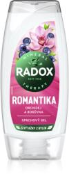 Radox Romantic tusfürdő gél 250 ml