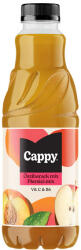 Cappy Őszibarack Mix 50, 7% 1, 0l 6/# DRS