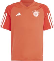 Adidas FC Bayern München Edzőmez - Gyerekméret, 176 cm