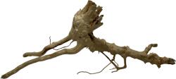 INVITAL Red Moor Wood XL 50-60cm (ID Z05864)