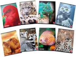 Pigna Animal 42 lapos füzet A/5 - Kockás