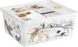 KIS Fedeles doboz KIS C Style Pets M, 18 lit. , 34x40x17 cm