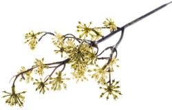  Ág MagicHome Karácsony, Sedum. Gold, arany, 14x30 cm