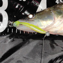 REIVA Zander Power Shad 12, 5cm 3db/cs (Poison Green) (9901-243)