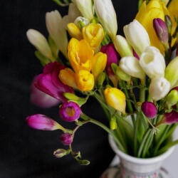  Frézia illat 100 ml