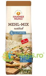 Hammer Muhle Mix de Faina Rustica fara Gluten 1kg