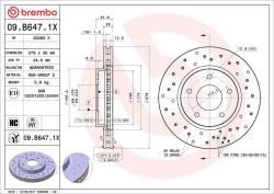 BREMBO Disc frana BREMBO XTRA LINE - Xtra 09. B647.1X (09.B647.1X)