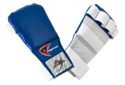 Ju-Sports Manusi Mitt Pro Ju Sports Albastre (6206903)