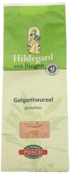 Hildegard Galgant Root Ground - 100 g